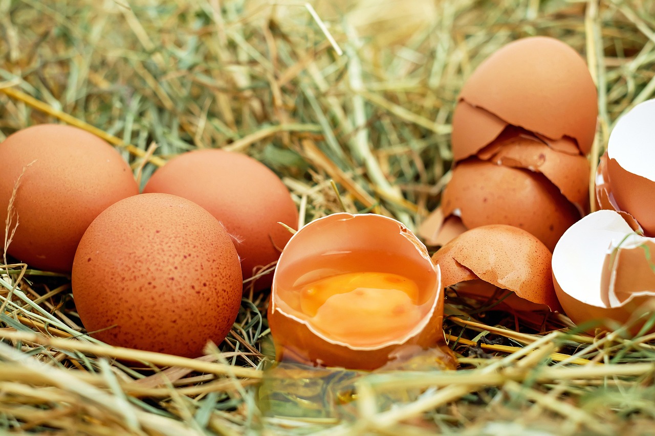 Your Essential Guide to an Egg Donor Matching Consultation in San Diego: What to Expect & How to Prepare